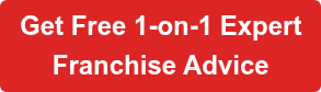 FREE Franchise Guide!